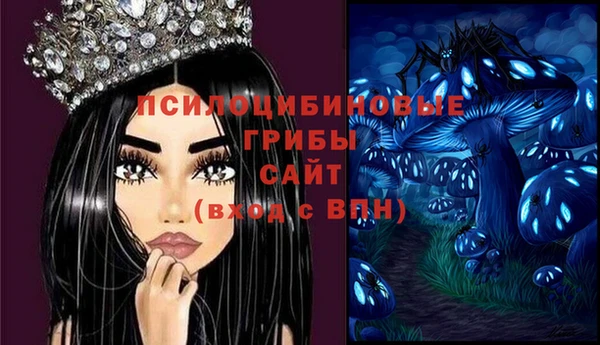 СК Кукмор