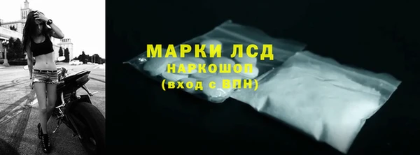 СК Кукмор