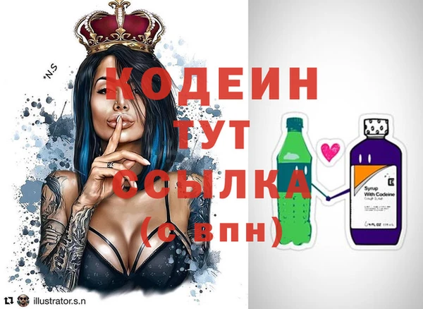 СК Кукмор