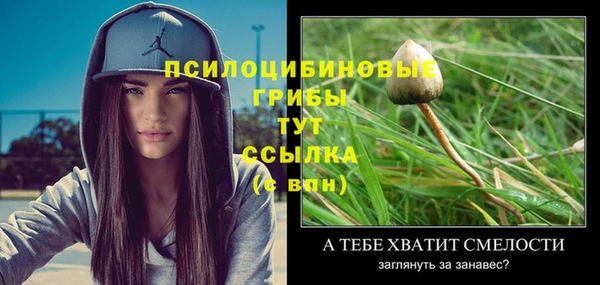 СК Кукмор