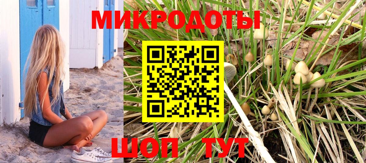 Псилоцибиновые грибы ЛСД Новочебоксарск